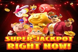 big7 bet big7 bet